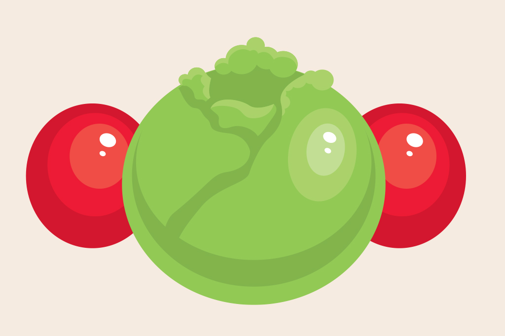 SI_Fruta_Certa_9 <strong>Ao comprar tomate, morango ou alface, coloque-os na geladeira, sem lavar. Depois de cerca de duas horas, retire-os e lave em água corrente.</strong>