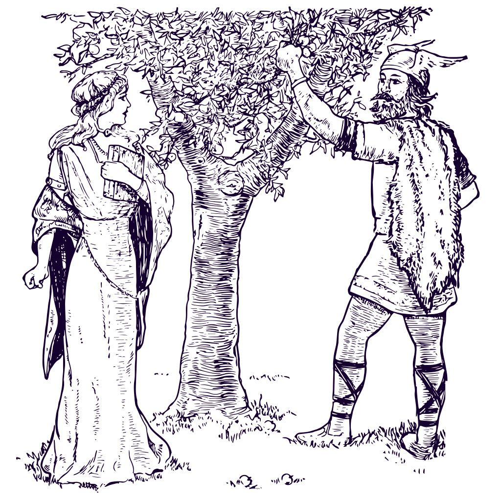 SI_Mitologia_Nordica_6_B <strong>Idunn, a fornecedora das maçãs que mantêm os deuses jovens.</strong>