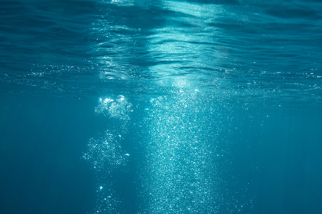 Extinção no final do Triássico, há 201 milhões de anos, sufocou os oceanos