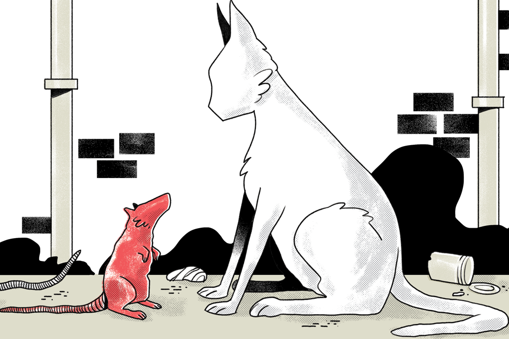 ilustração de um rato olhando para um gato