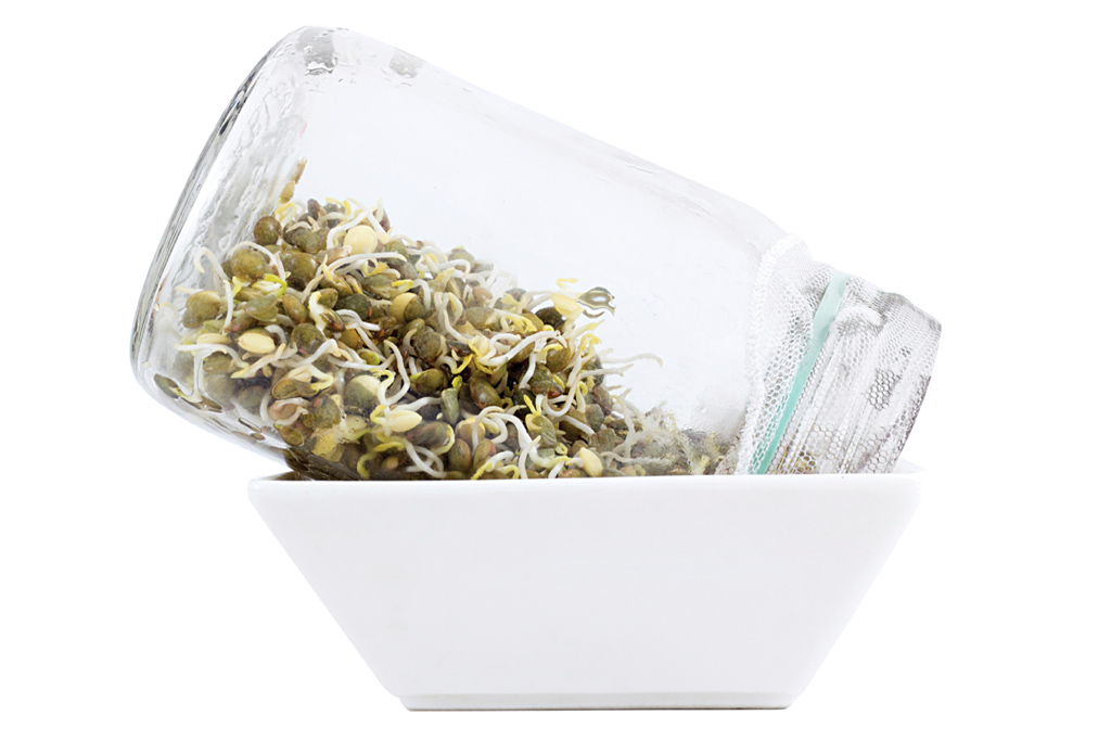 SI_Detox_Integrais_2 <strong>Digestão – O processo torna o grão mais fácil de digerir.</strong>