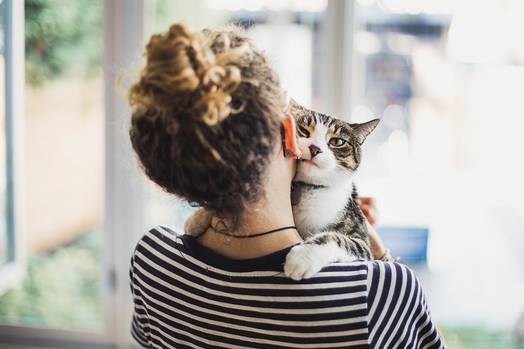 Enquete traça perfil dos “pais de pet” brasileiros