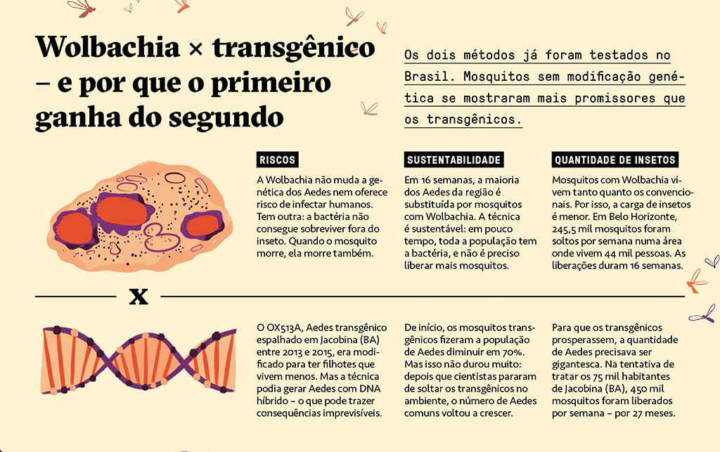 Clique na imagem para ampliar.