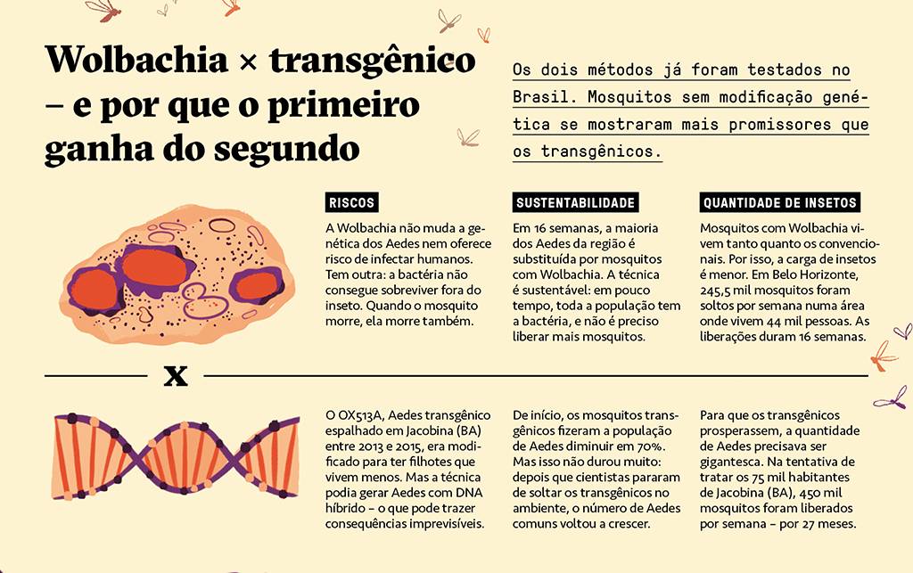 Clique na imagem para ampliar.