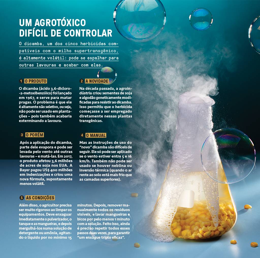 Clique na imagem para ampliar.