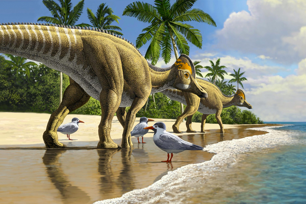 Fósseis de dinossauro bico-de-pato são encontrados pela primeira vez na África