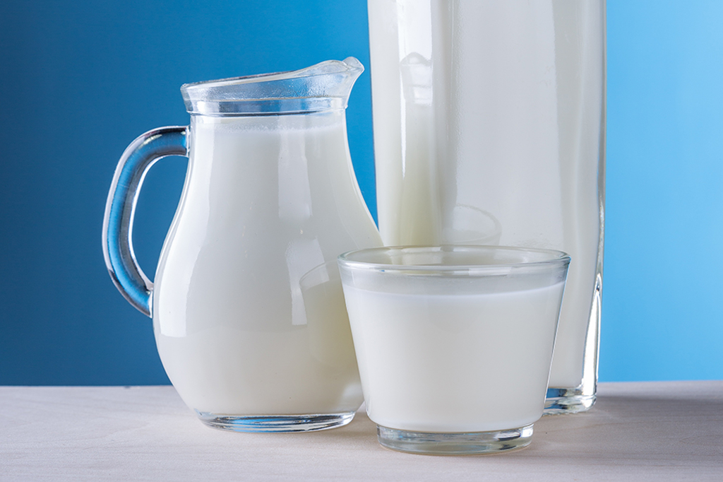 Humanos já consumiam leite antes que pudessem digeri-lo