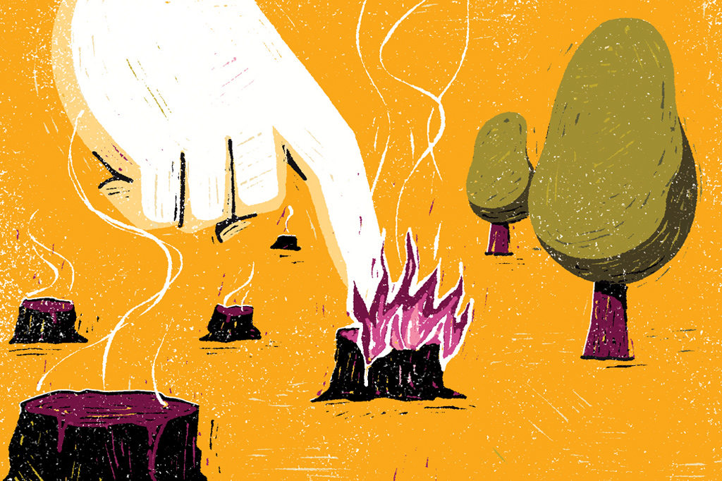 Queimadas humanas destroem mais que as naturais