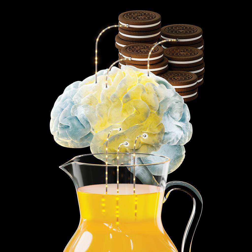 Alimentos feitos com adoçantes artificiais podem gerar sinais metabólicos anormais – e fazer o cérebro disparar um alerta de fome.