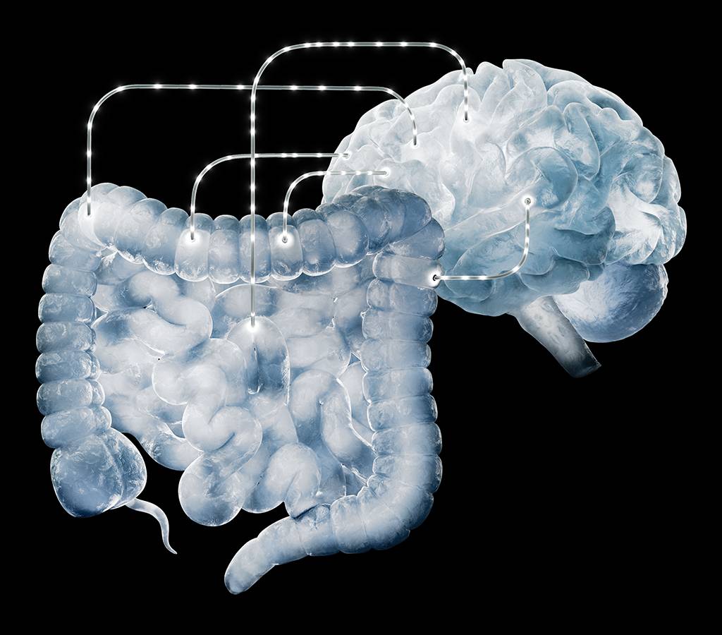 O sistema digestivo, e as bactérias que vivem nele, têm um canal direto de comunicação com o cérebro: o nervo vago.