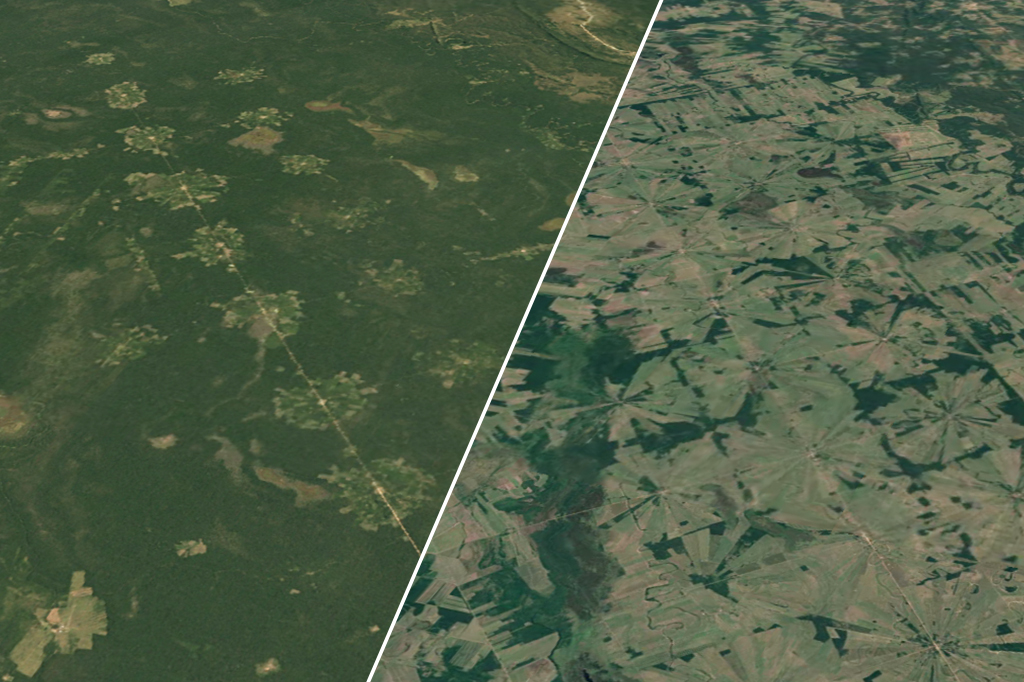 Imagem mostrando a diferença visual de um trecho da floresta amazônica nos anos 1984 e 2020.