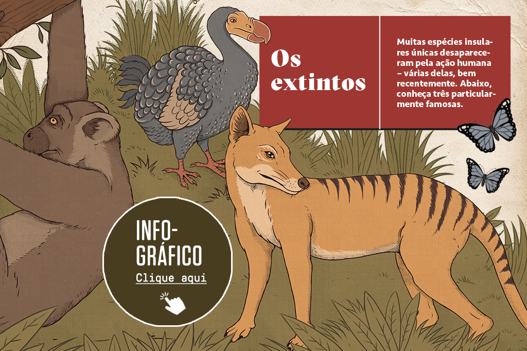 SI_426_evolucaoinsular_info01_SITE -