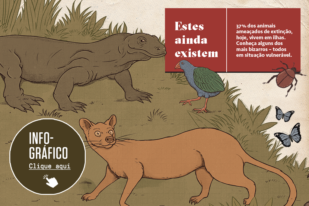 SI_426_evolucaoinsular_info03_SITE -