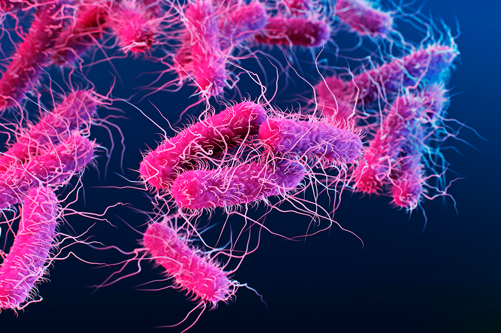 Representação da bactéria Escherichia coli, retratada rosa em fundo azul escuro.