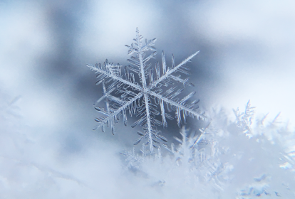 Foto de um floco de neve.