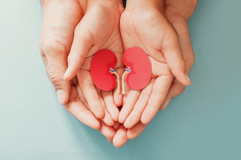 Quantas vezes um órgão pode ser transplantado?