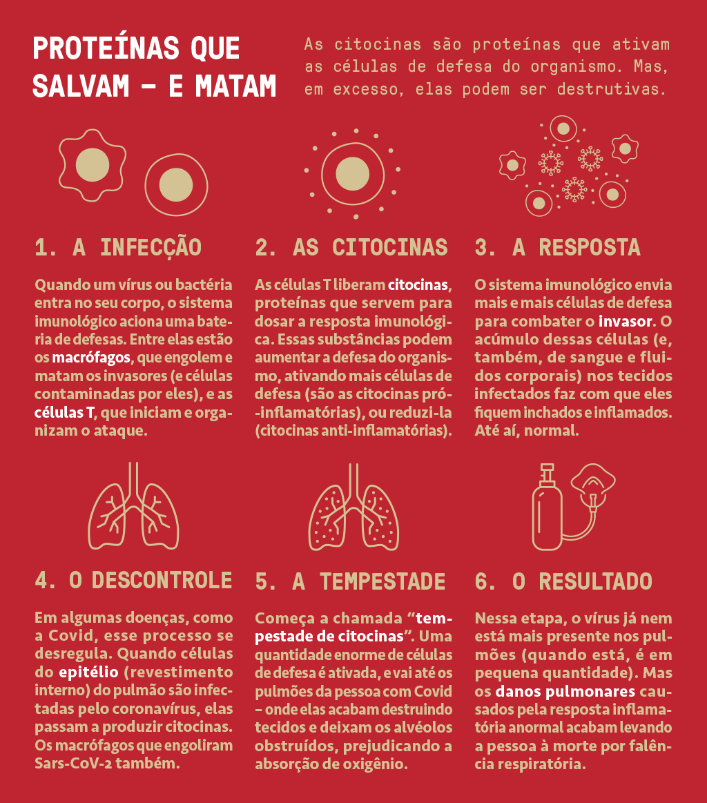 Clique na imagem para ampliá-la.