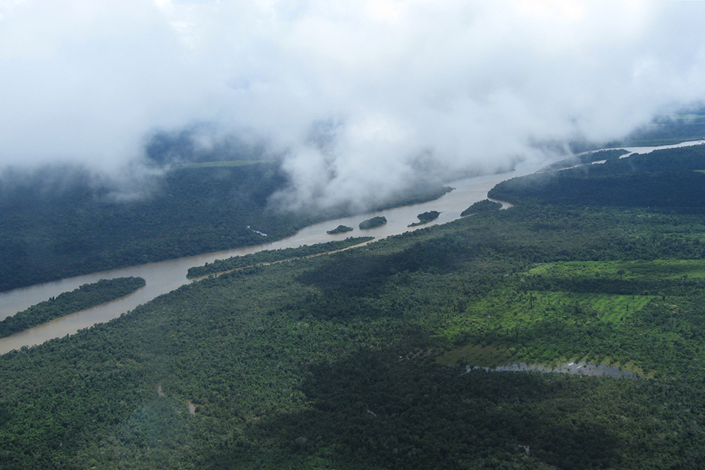 Vista aérea da Amazônia.