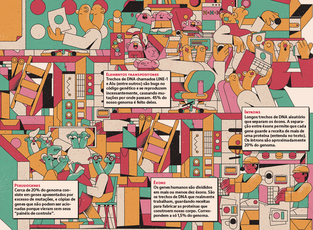 SI_430_Genes-egoistas_01 Ilustração da visão geral de uma empresa de genes, com genes saltadores, éxons, íntrons, depósitos e genes aposentados, com 4 caixas de texto falando um pouco sobre cada tipo de gene.
