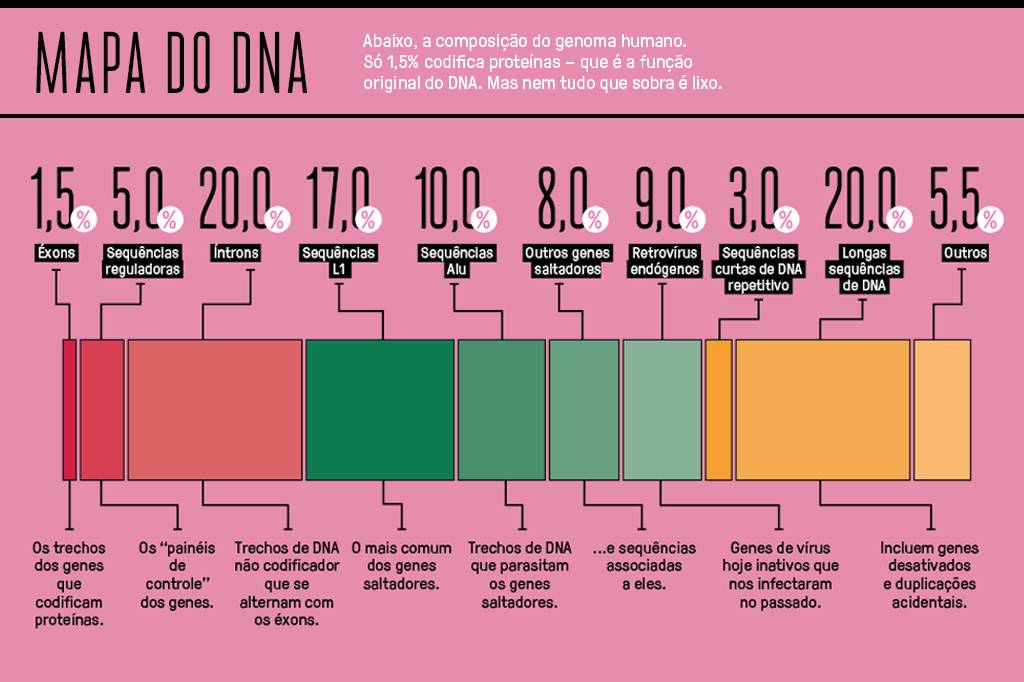 Gráfico de barras mostrando a composição do genoma humano.