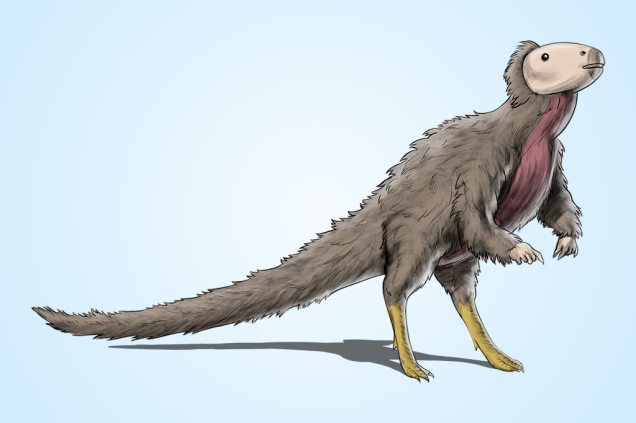 Trinisaura santamartaensis (80 Ma): É a única espécie já encontrada do gênero Trinisaura. Assim como o Antarctopelta, apenas um espécime foi descrito. Trinisaura santamartaensis (80 Ma): É a única espécie já encontrada do gênero Trinisaura. Assim como o Antarctopelta, apenas um espécime foi descrito.