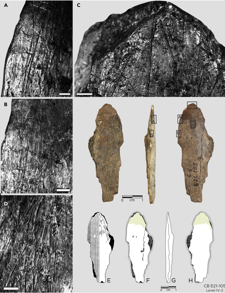 Fotografias e ilustrações da ferramenta espatulada de osso