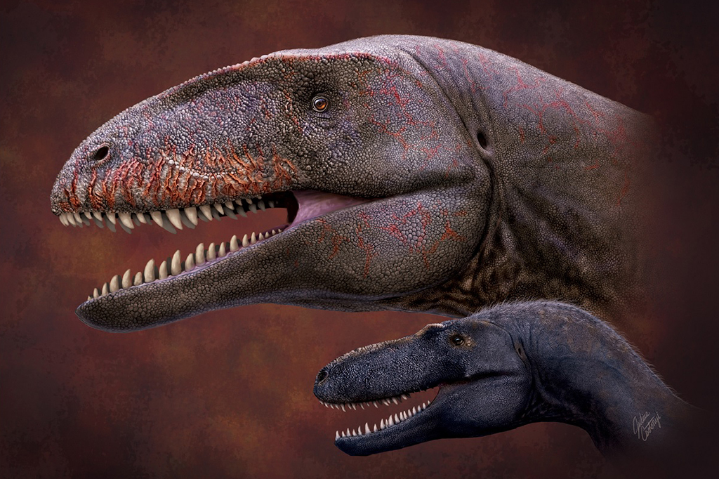 Ilustração de um Ulughbegsaurus com um tiranossauro Timurlengia.