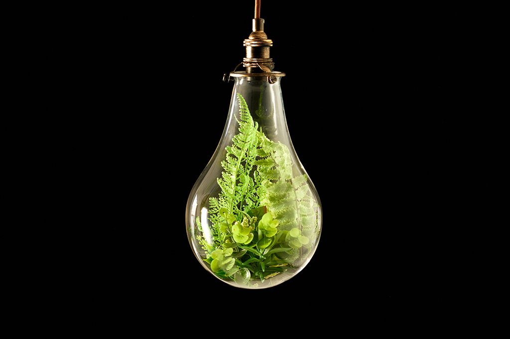 O que é bioenergia?