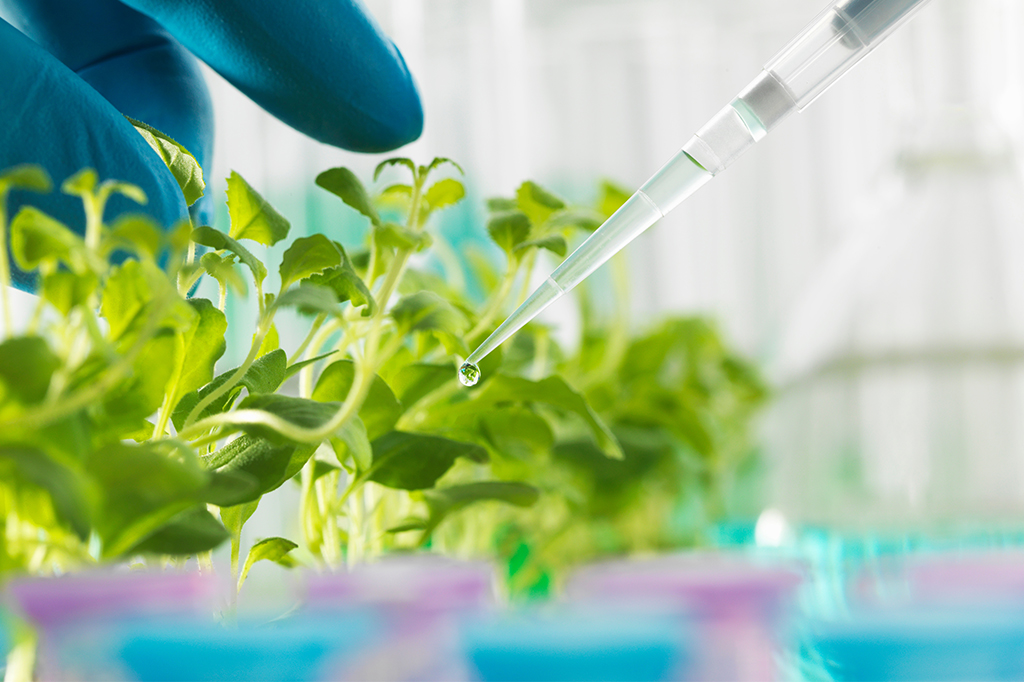 Quais são os principais temas de pesquisa no Brasil?