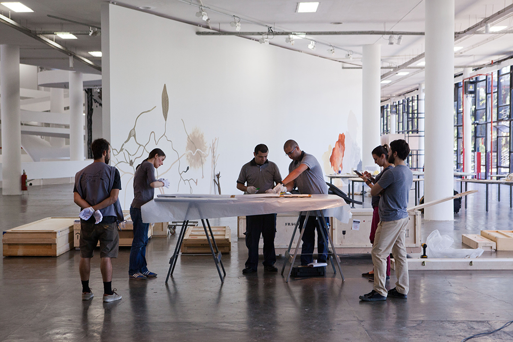 Nova websérie mostra os bastidores das Bienais de arte