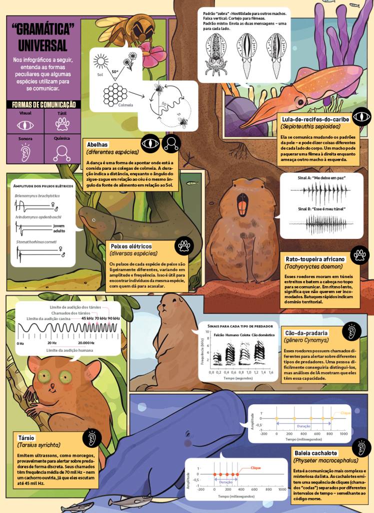 Infográfico com ilustrações de 7 animais: abelhas, lula-de-recifes-do-caribe, peixe elétrico, rato-toupeira africano, társio e baleia cachalote. Cada animal está disposto num quadrinho com um cenário do seu habitat, uma legenda explicando sobre o tipo de comunicação, um ícone mostrando se a comunicação é visual, tátil, sonora ou química e um gráfico explicando como é feita essa comunicação.