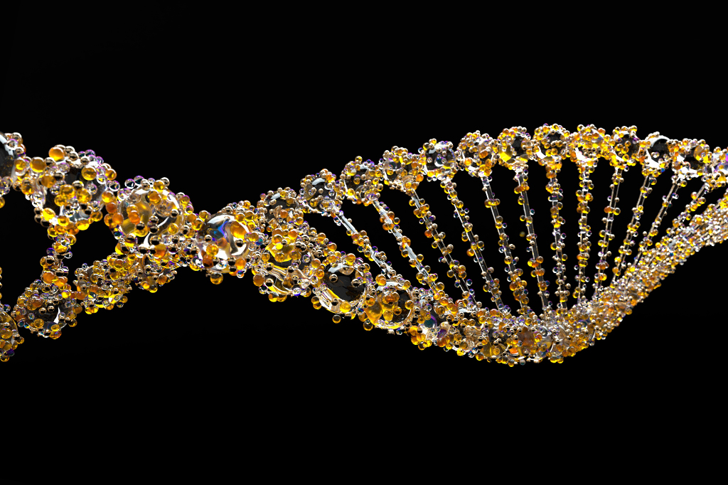 Síndrome de Down envelhece o sistema imunológico