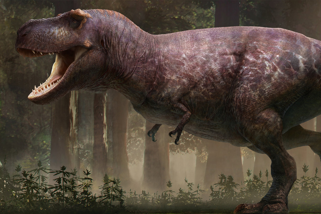 Reprodução artística de tiranossauro.