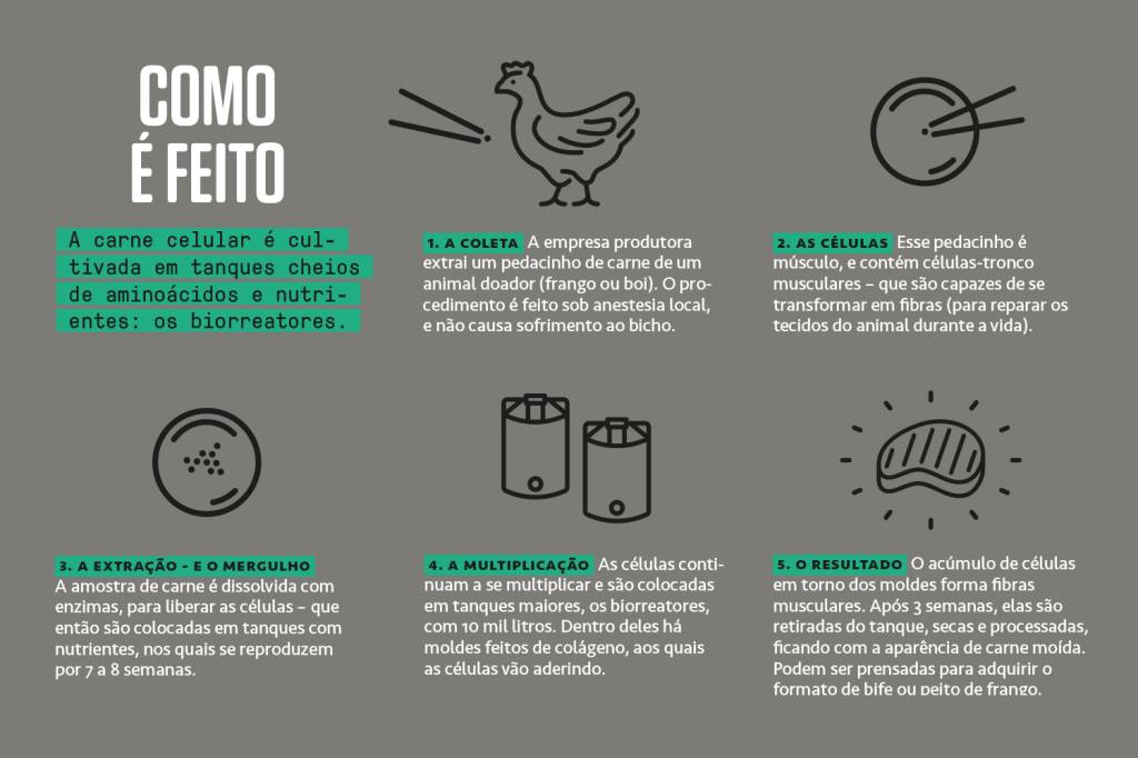 SI_438_frango_comoefeito Box mostrando como é feita a carne celular.