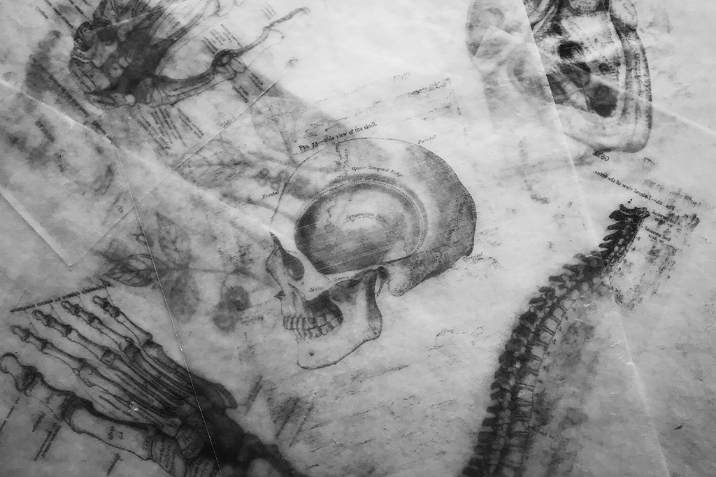 Cientistas sequenciam genoma humano das ruínas de Pompeia