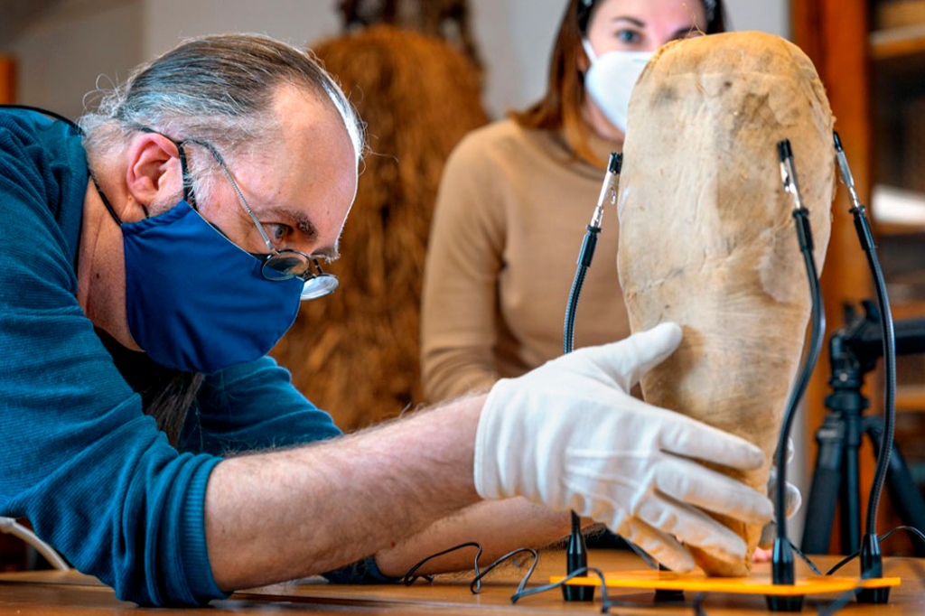 Cientistas descobrem que ave mumificada há 1,5 mil anos é um íbis-sagrado