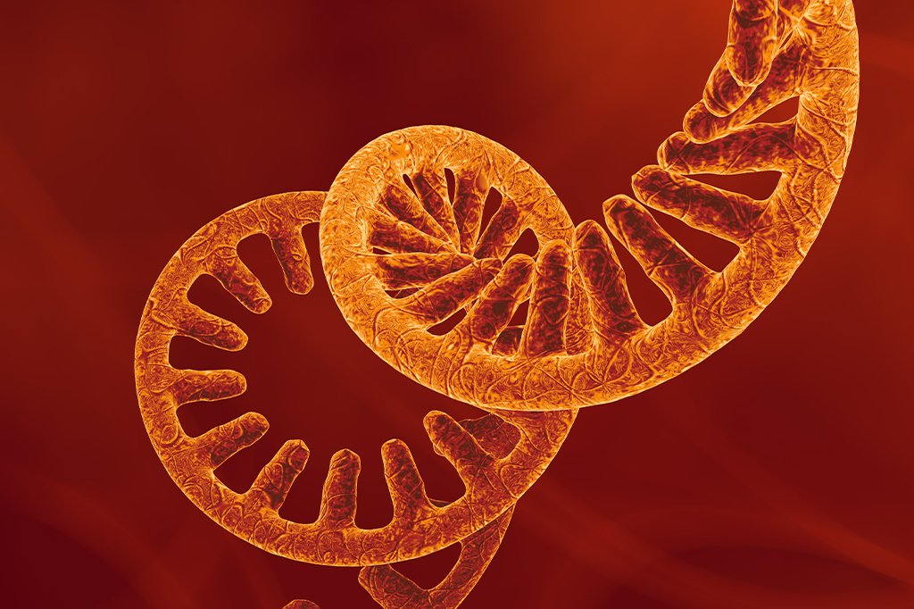 Ilustração 3D de fita de RNA.