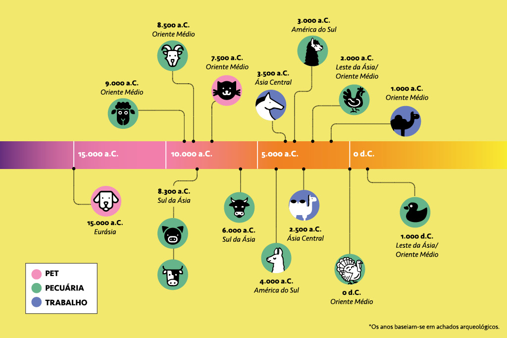SI_443_ORCL_grafico1 Infográfico de linha do tempo da domesticação dos animais indicando os anos, os animais e as regiões.