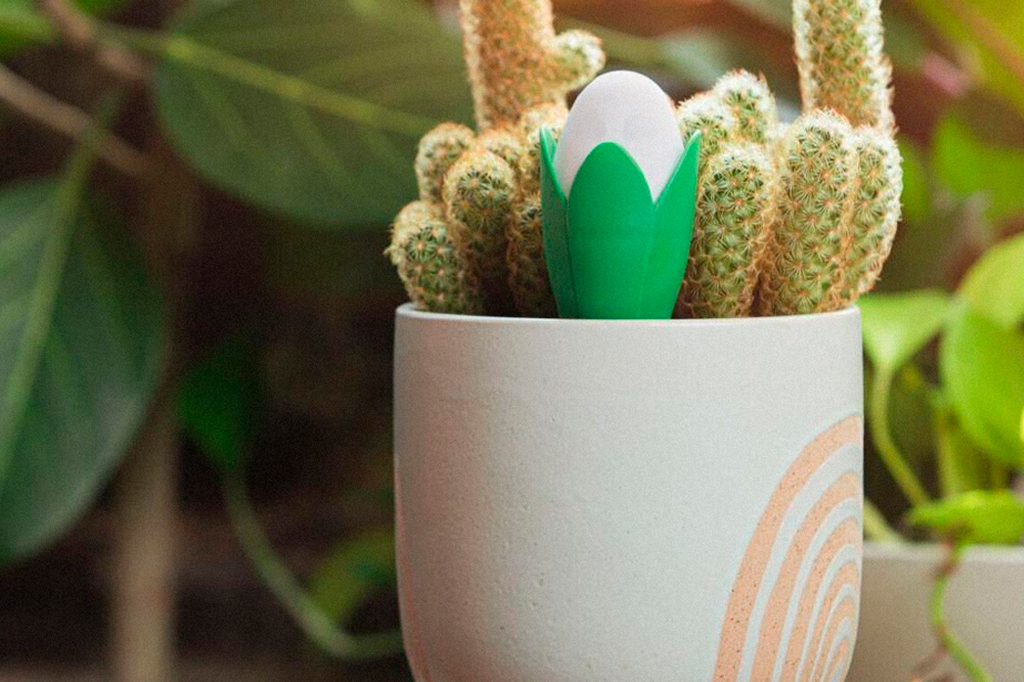 Os 2 projetos de crowdfunding mais interessantes de outubro