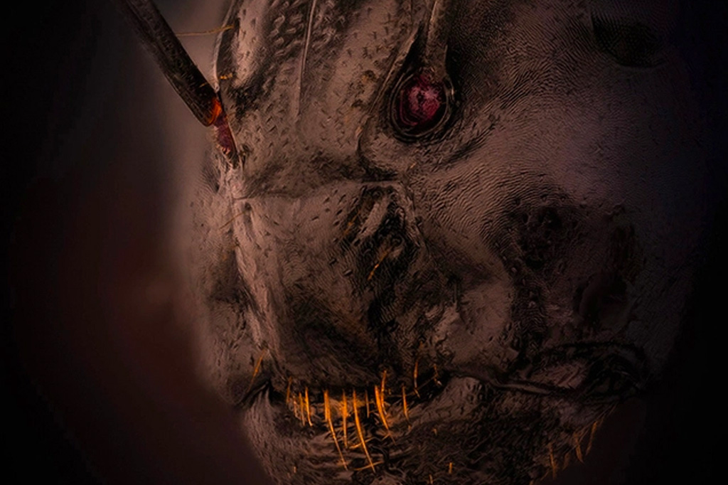 Foto do “rosto” de formiga vence prêmio de macrofotografia