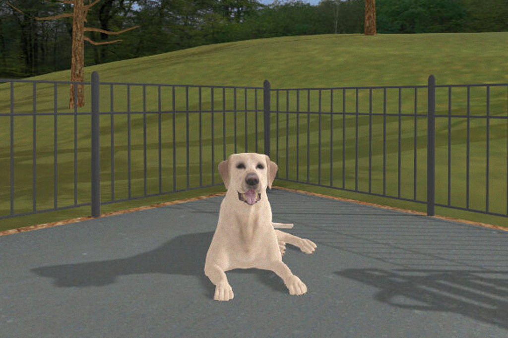 Imagem do labrador de realidade virtual.