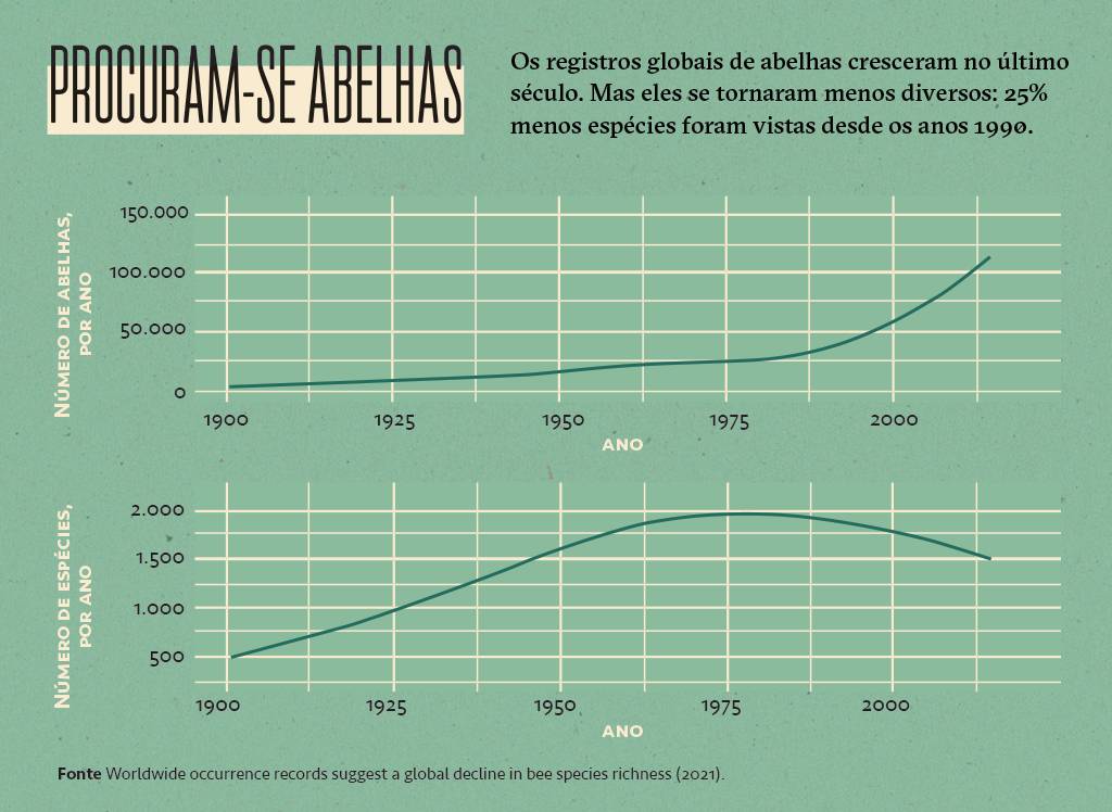 SI_445_Abelhas_info01 Dois gráficos de linha mostrando o número de abelhas por ano e o número de espécies por ano.
