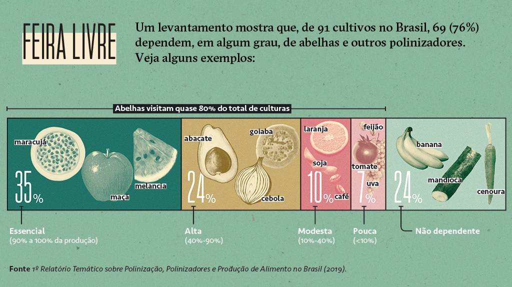 SI_445_Abelhas_info02 Gráfico mostrando a porcentagem de dependência de abelhas e outros polinizadores de alguns cultivos.