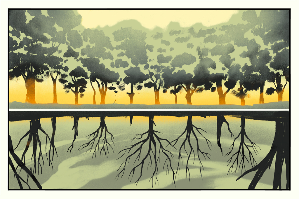 Ilustração de uma floresta com árvores mortas e vivas.