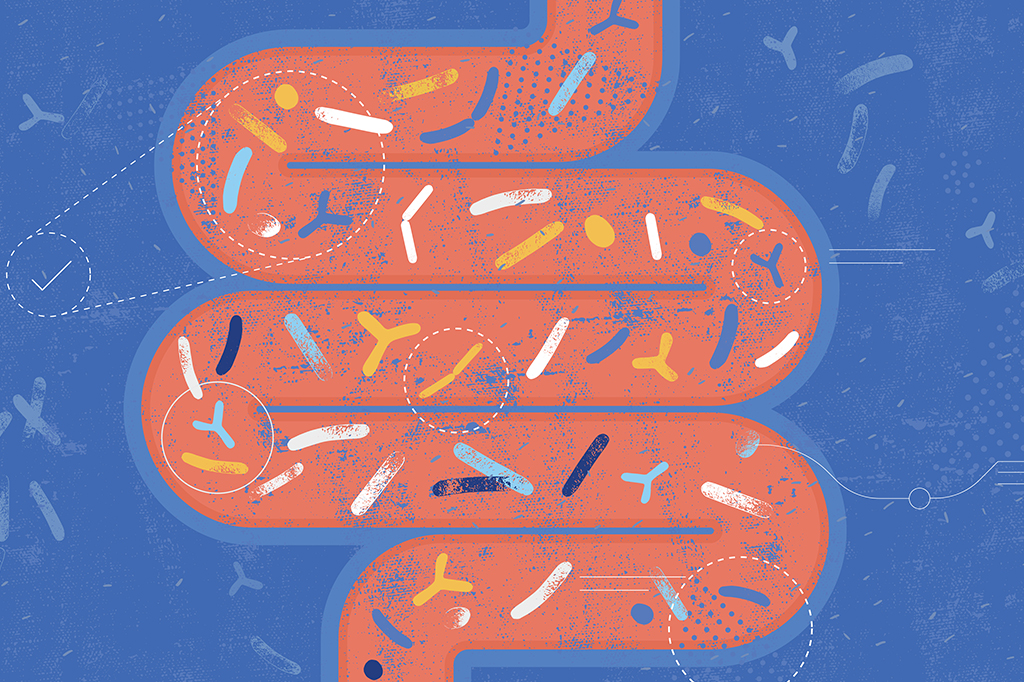 FDA aprova primeiro medicamento feito a partir da microbiota intestinal humana