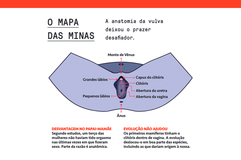 Imagem com informa&ccedil;&otilde;es sobre a anatomia da vulva.