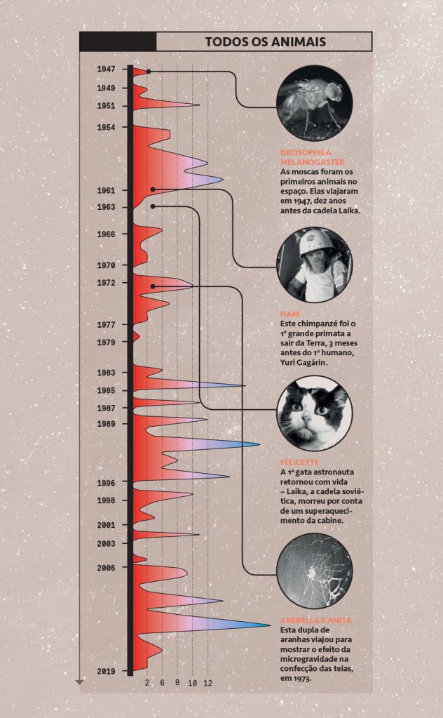 Infografico.