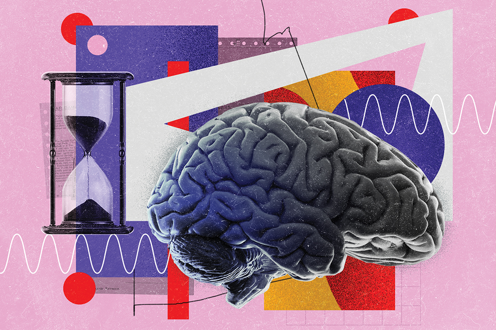 Sinais elétricos do cérebro aceleram durante a vida