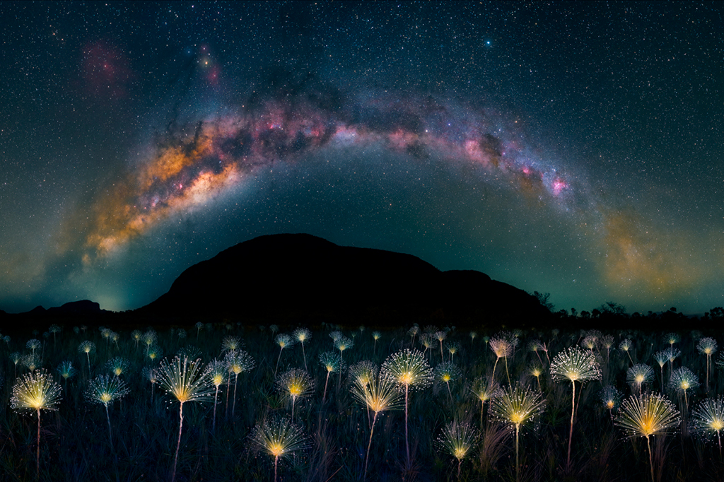 Brasileiro fica entre os melhores no concurso mundial de fotos da Sony