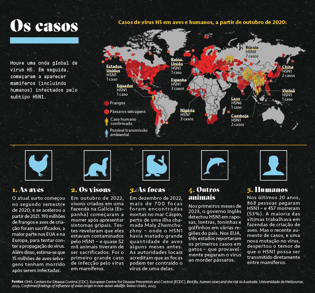 SI_450_H5N1_02-B Infográfico mostrando os casos de H5N1 no mundo.